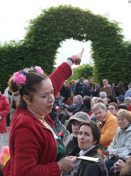 Feuerwerk Frankreich II   041.jpg